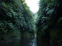 New_Zealand (171)